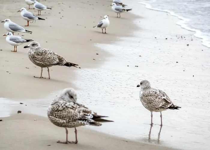 Hotel Doris Kołobrzeg